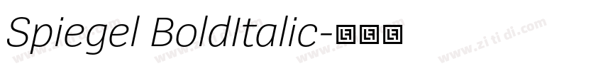 Spiegel BoldItalic字体转换